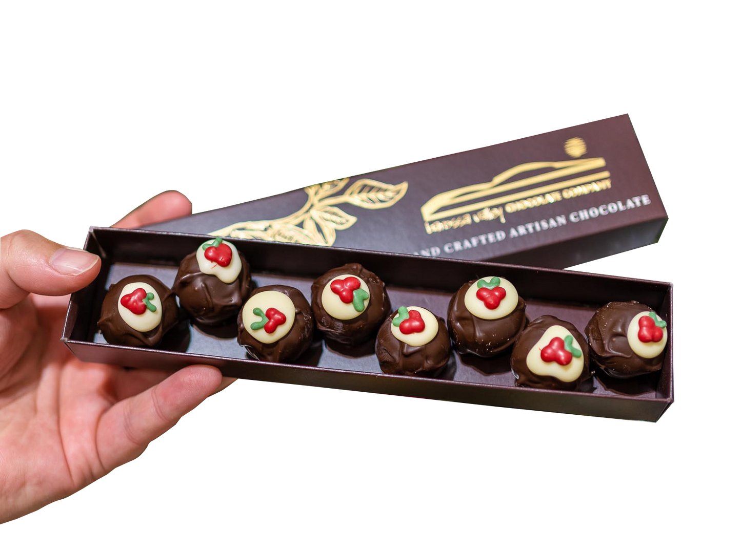 Christmas Pudding Praline (8 Pack)