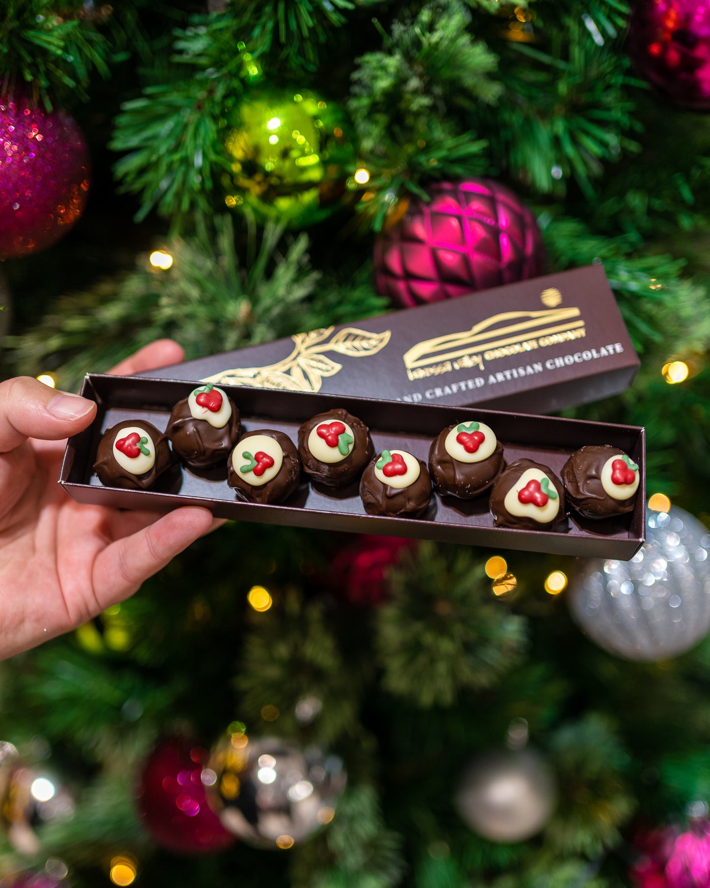 Christmas Pudding Praline (8 Pack)