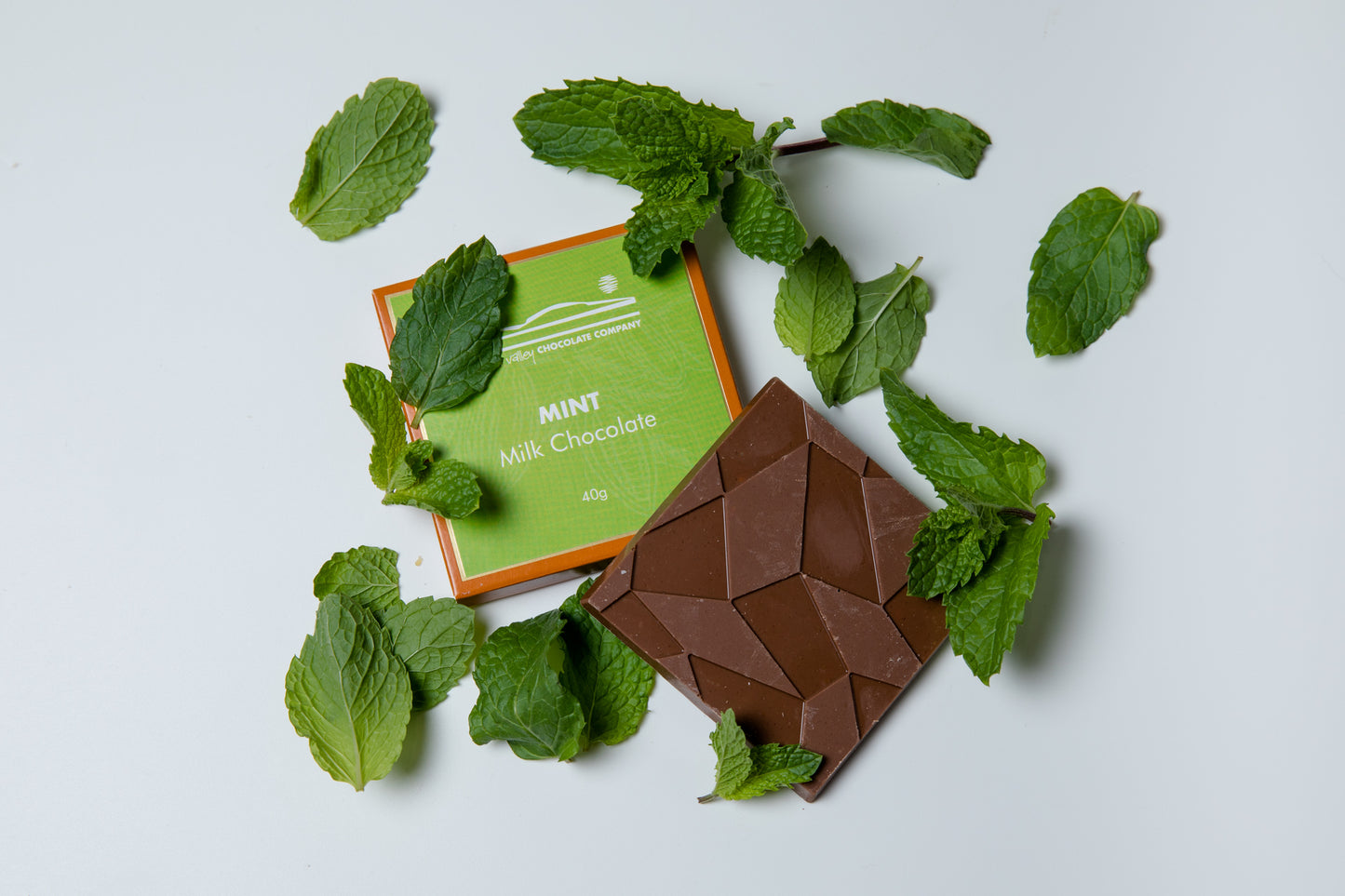 Milk Chocolate with Mint 40g Block