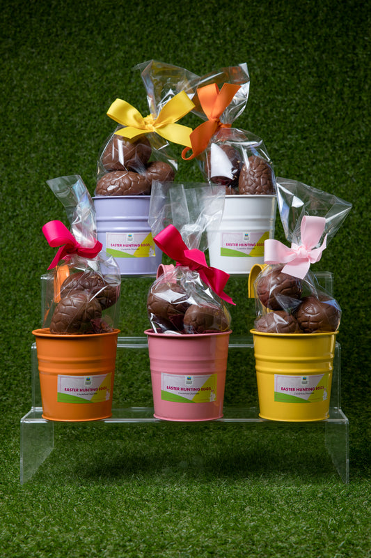 Small Hollow Easter Eggs in Hanging Bucket WC
