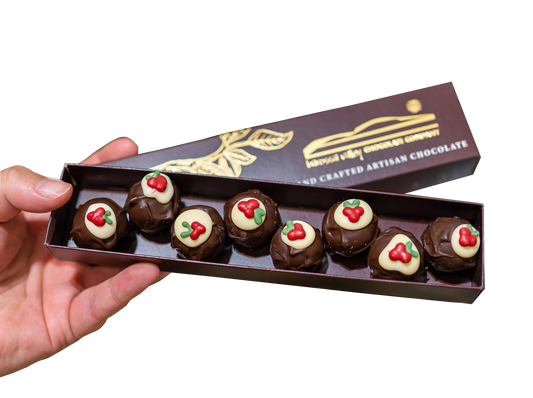 Christmas Pudding Praline (8 Pack)