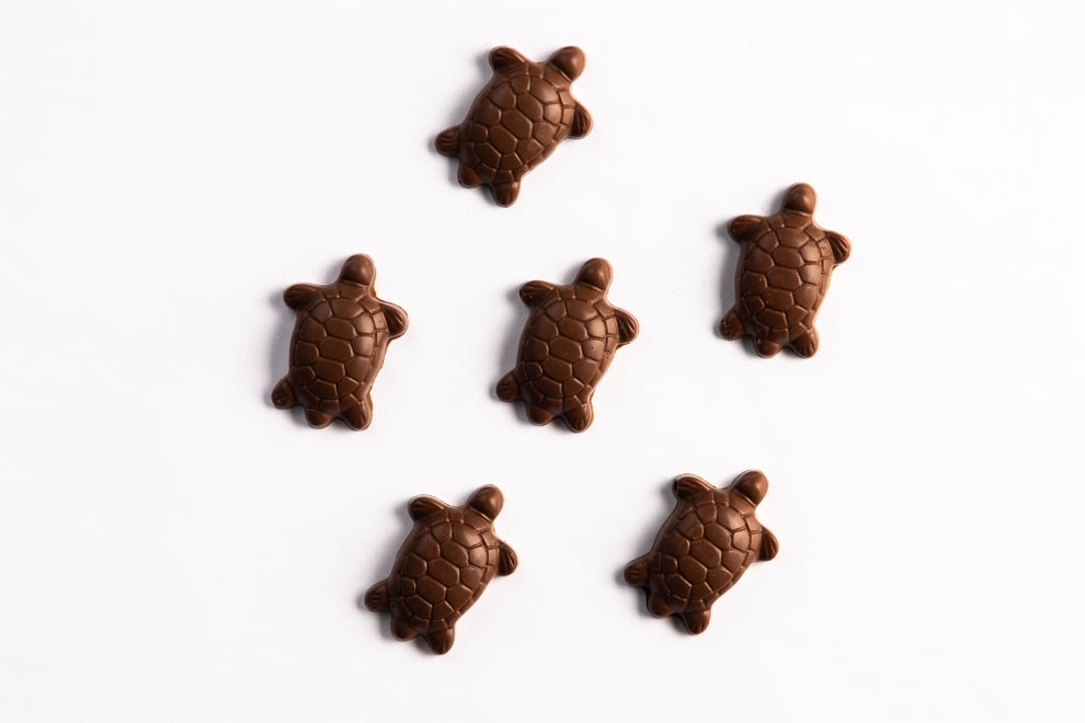 Milk Chocolate Turtles – Barossa Valley Chocolate Company