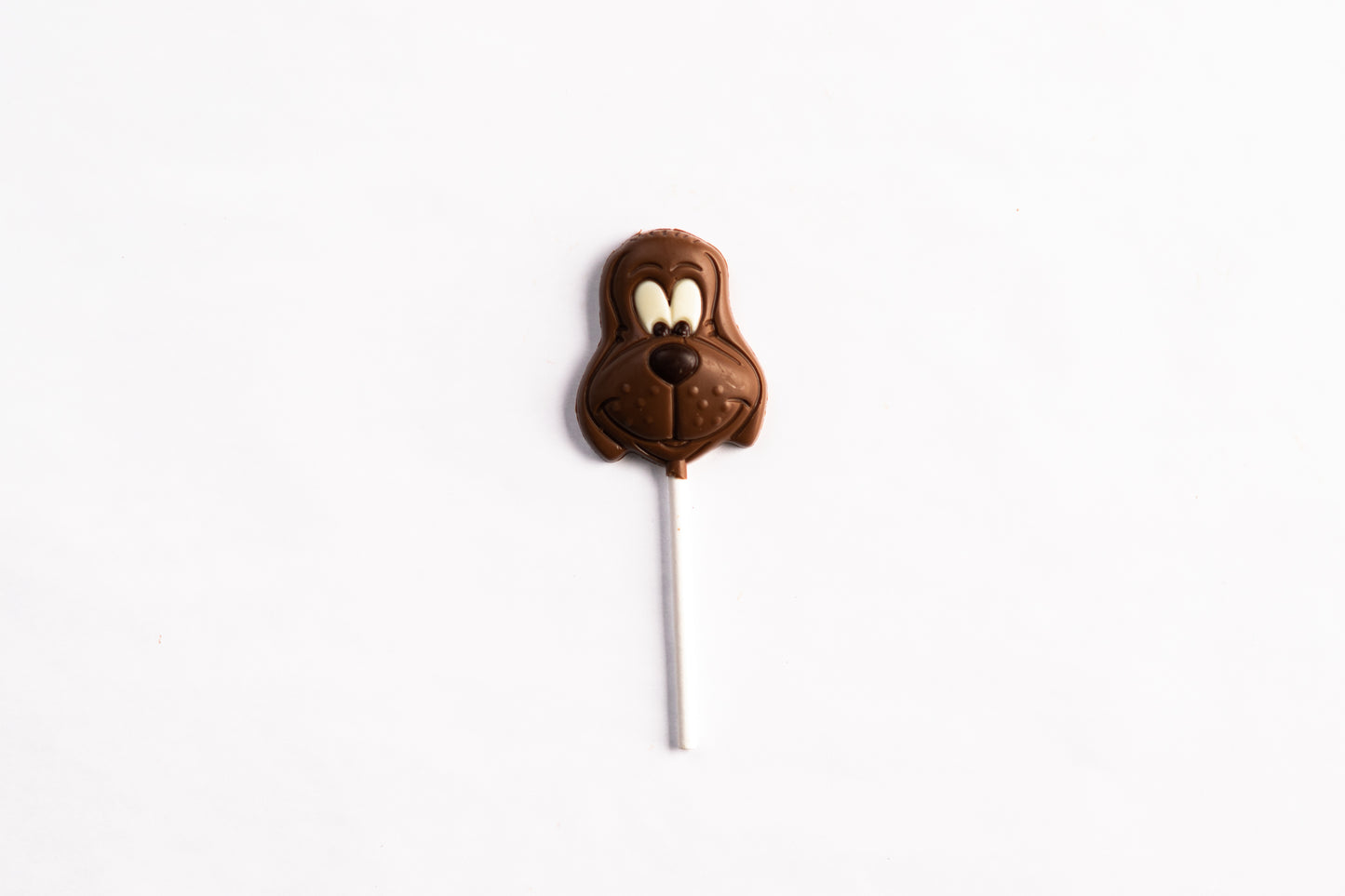 Dog Chocolate Pop